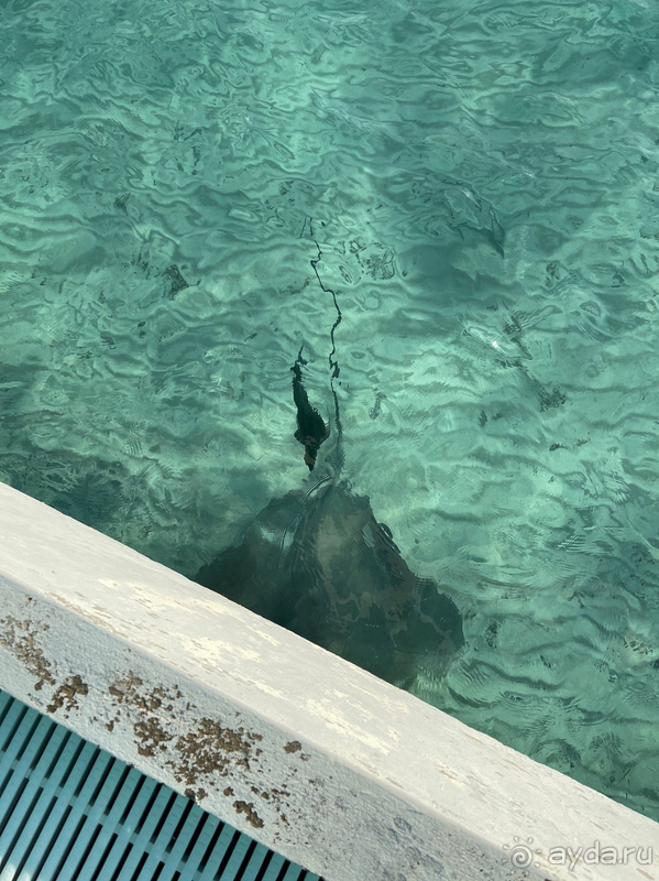 Это настоящие Мальдивы