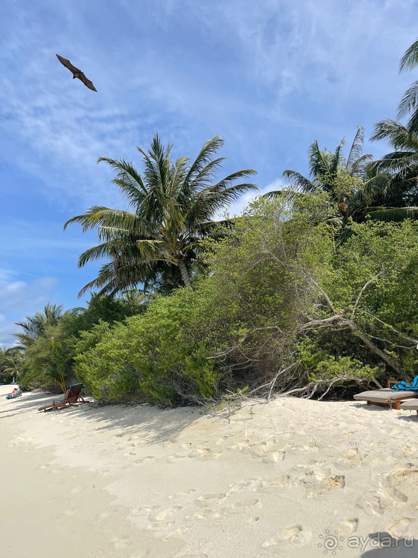 Это настоящие Мальдивы