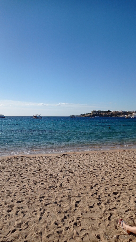 Египет очень хороший вариант отдыха зимой!