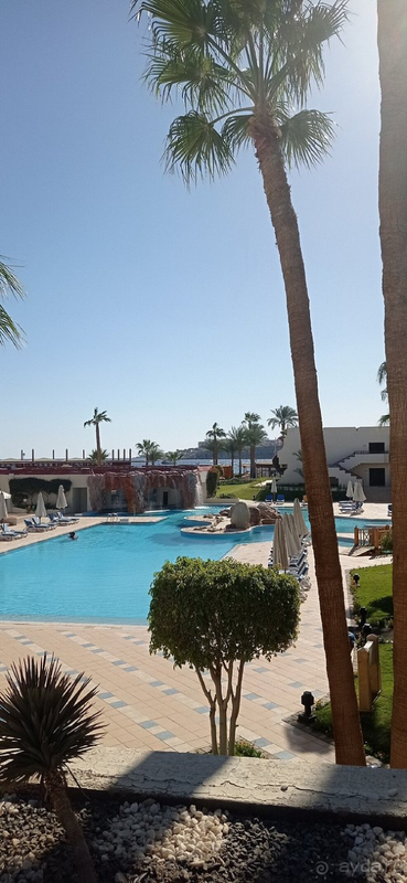 Египет очень хороший вариант отдыха зимой!