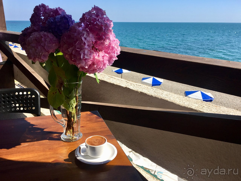 В скромном пансионате с роскошным видом