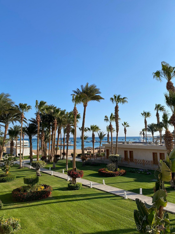 Мы провели замечательный отпуск в Египте. Мы провели замечательный отпуск в Египте.