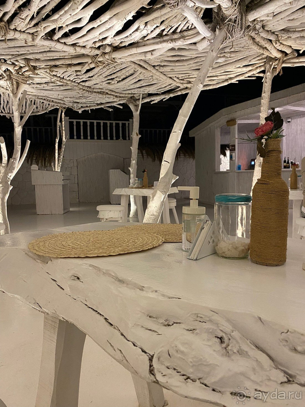 Мы провели замечательный отпуск в Египте.