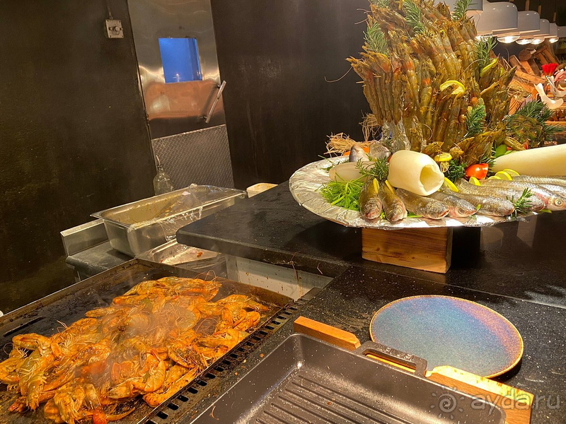 Мы провели замечательный отпуск в Египте.