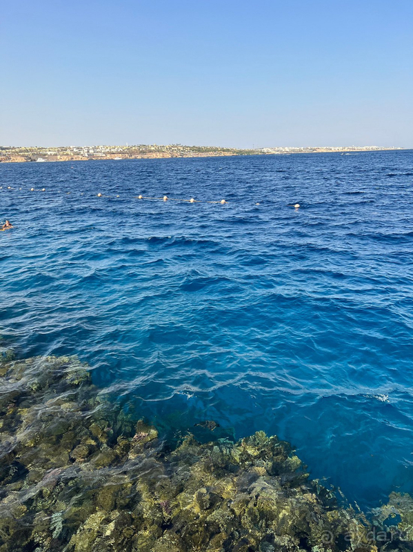 Отель однозначно рекомендую! Вернулась бы снова