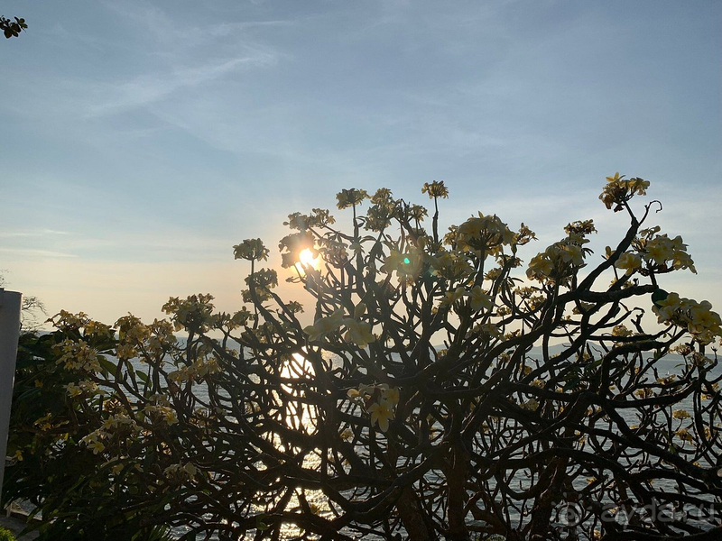 Прекрасно отдохнули в Паттайе