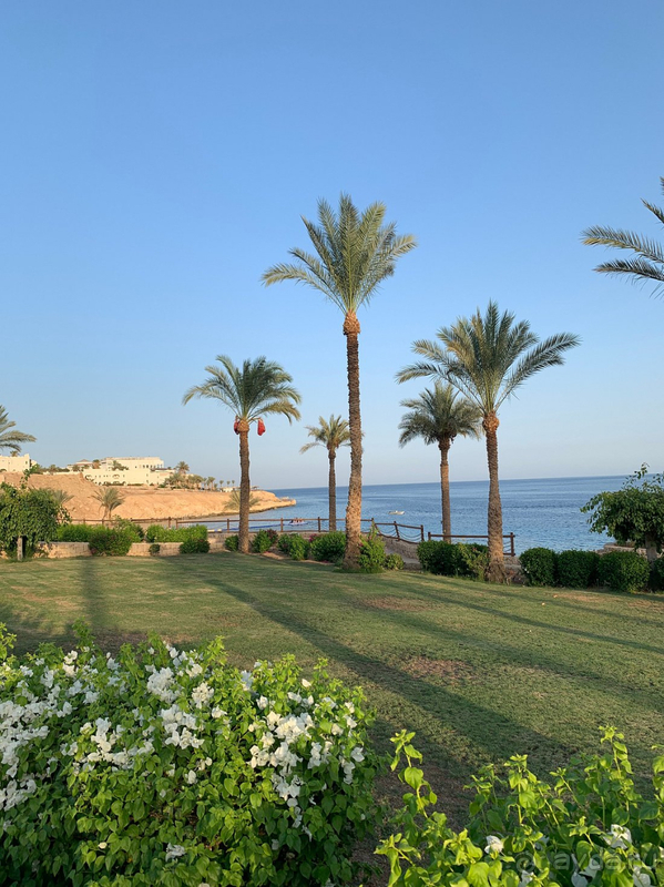 Сейчас это точно не 5*, а твёрдая 3* и не более Сейчас это точно не 5*, а твёрдая 3* и не более