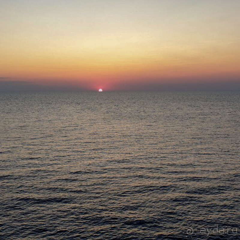 Марлин приятно удивил