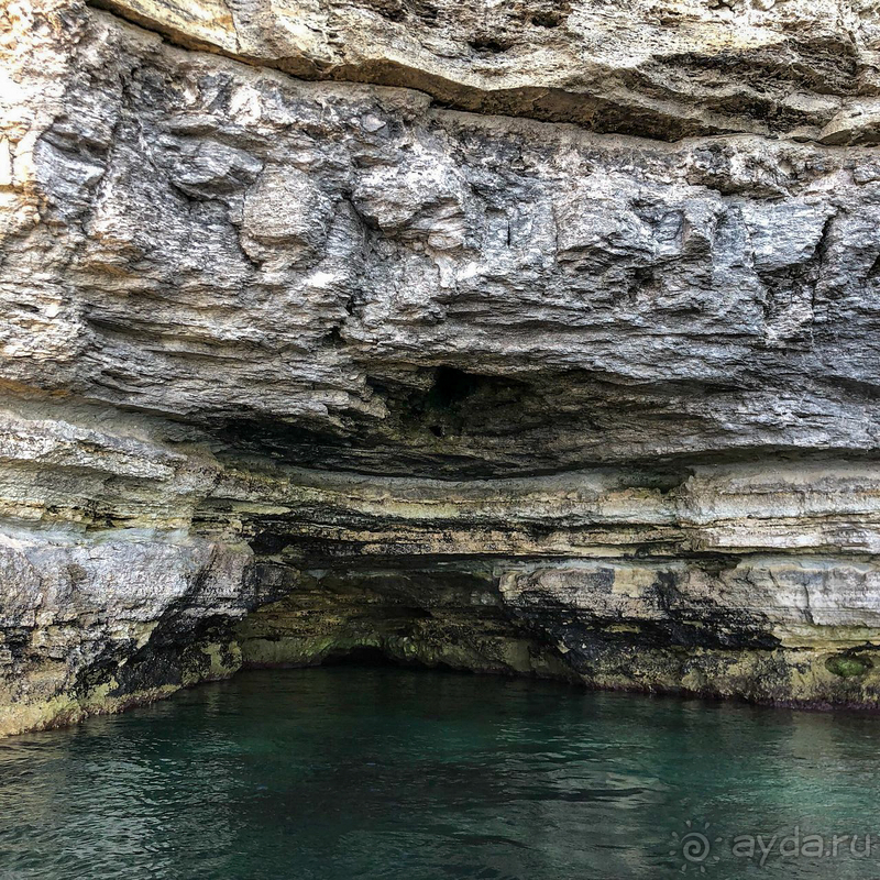 Марлин приятно удивил