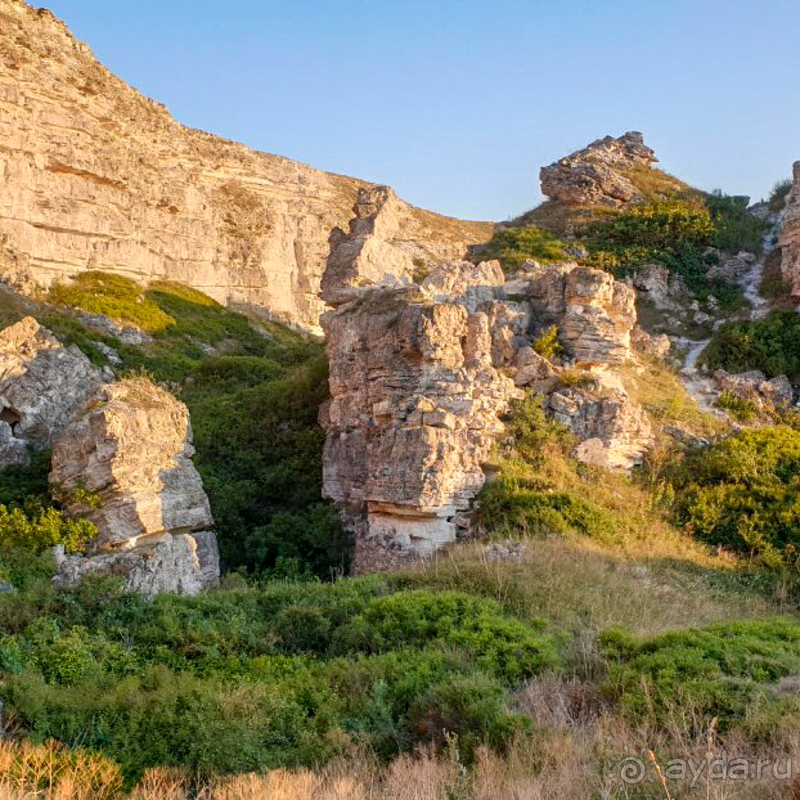 Марлин приятно удивил