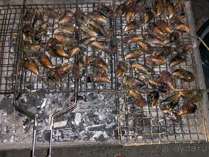 фото Марлин