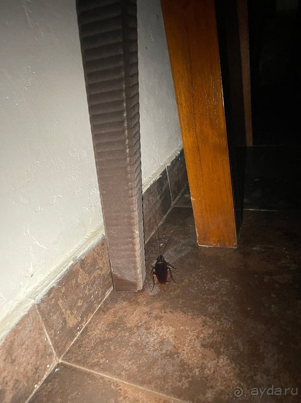 Отель Lanka Supercorals больше подходит как пункт перевала на пару дней