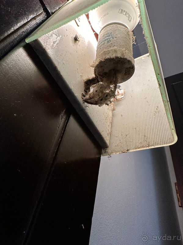 Отель Lanka Supercorals больше подходит как пункт перевала на пару дней