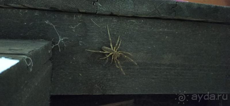 Экстремальный отдых с детьми