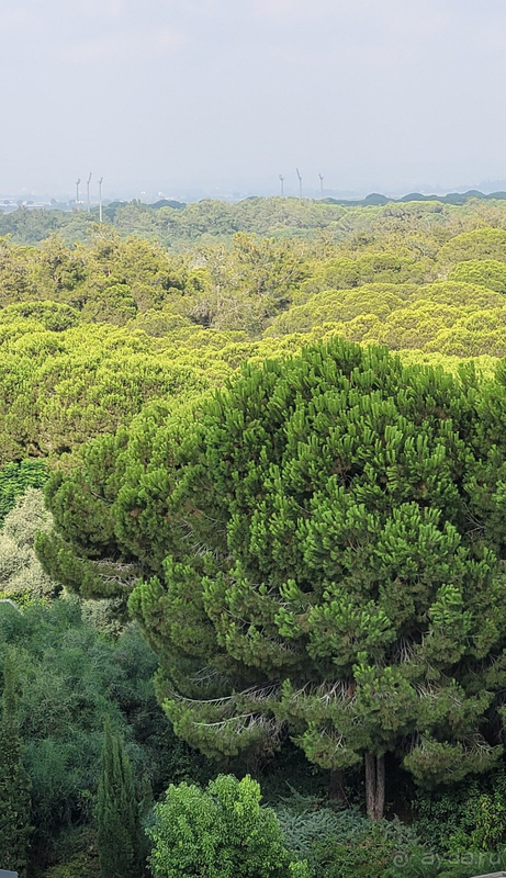 Если вы собираетесь на отдых с маленькими детьми - это место для вас
