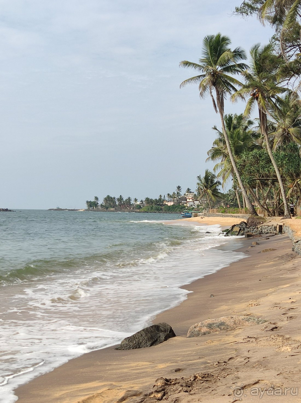 Отель оказался выше всяких похвал, выше наших ожиданий. 