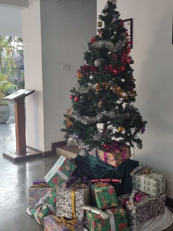 Отель оказался выше всяких похвал, выше наших ожиданий. 