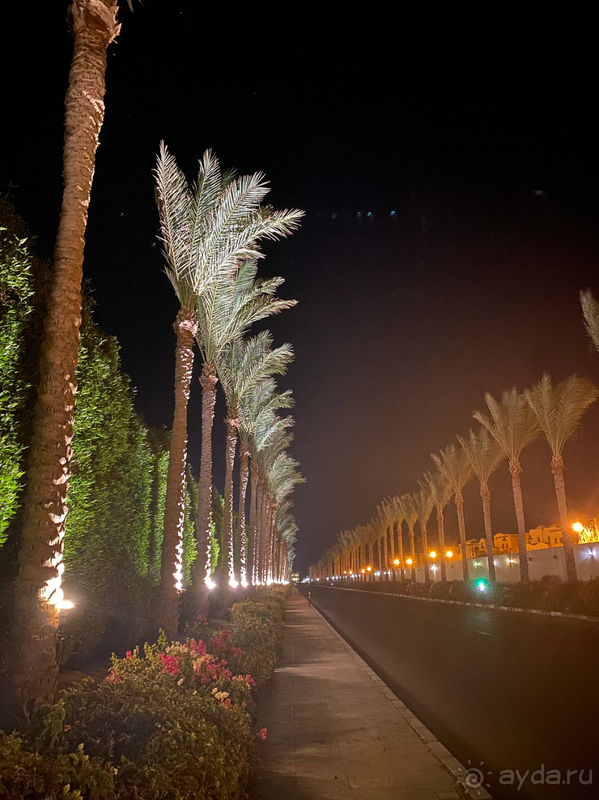 фото Barcelo Tiran Sharm 