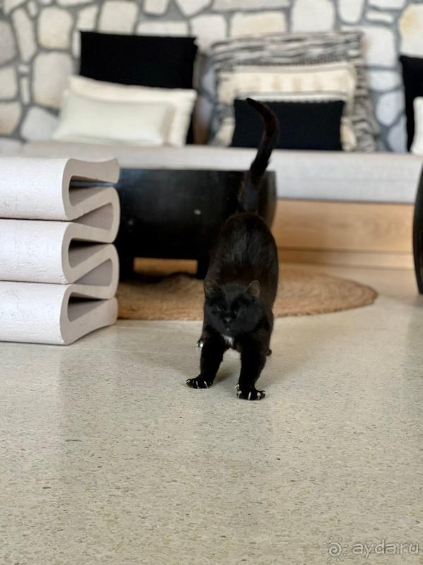 Десять незабываемых дней в мае 2022 года в Бодруме. Десять незабываемых дней в мае 2022 года в Бодруме.