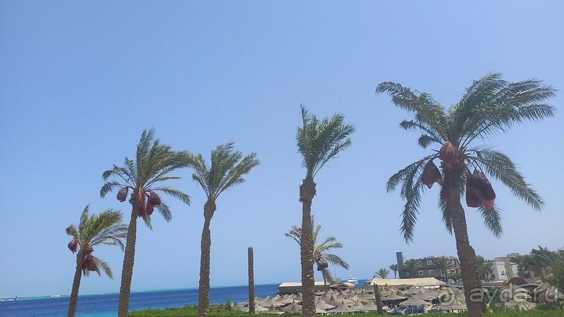 В целом отель подойдет для семейного отдыха с детьми 