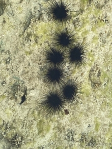 Все из семьи остались отдыхом довольны.