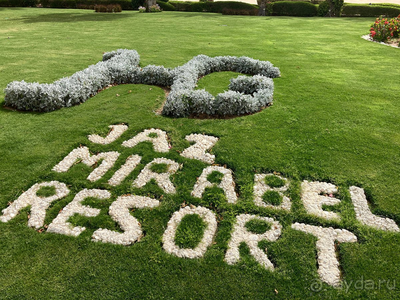 Все из семьи остались отдыхом довольны.