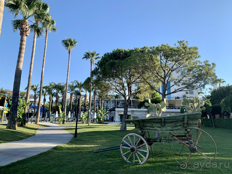 Шикарный отель