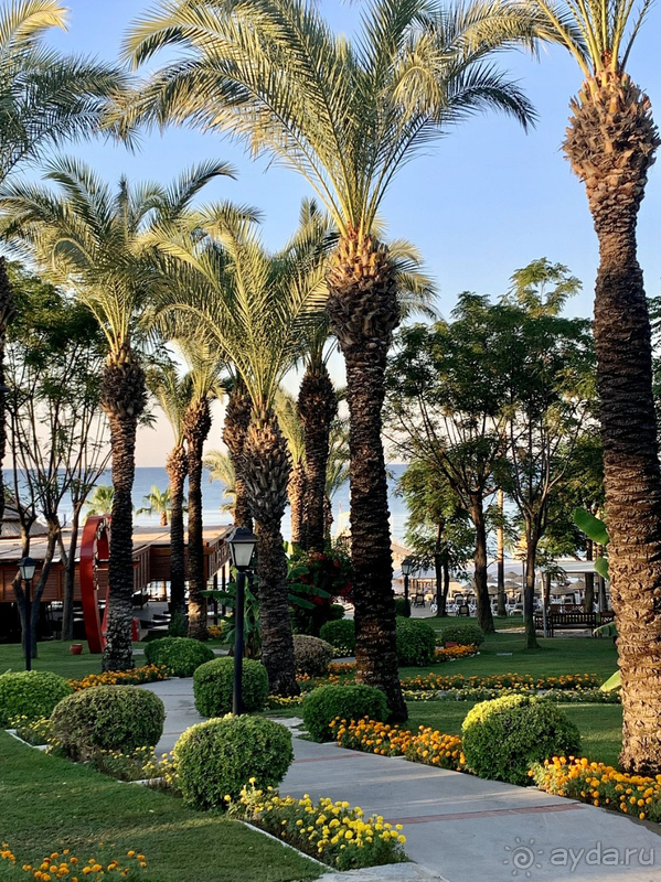 Шикарный отель