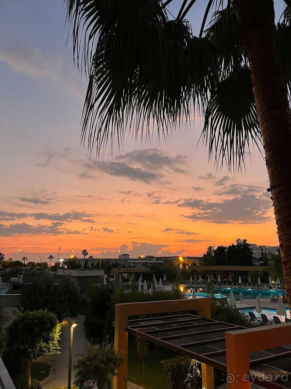 Месяц в отеле