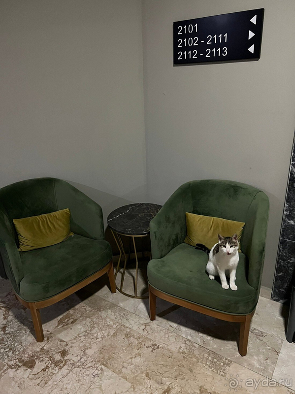 Месяц в отеле