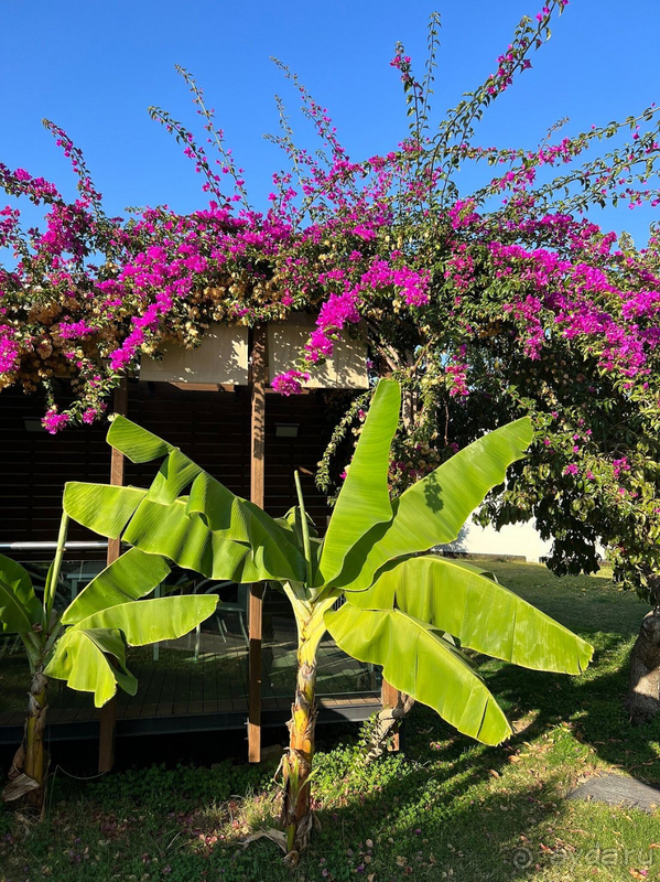 Месяц в отеле