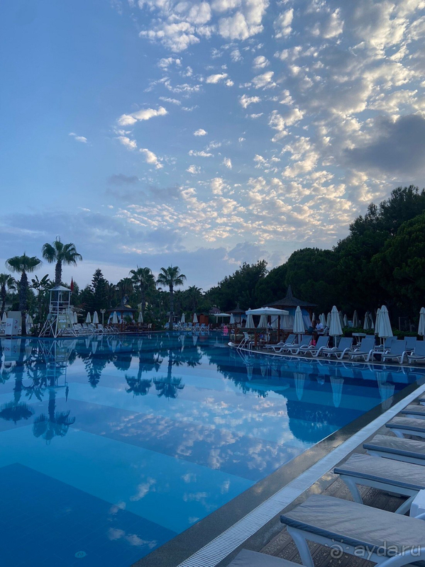 Нисколько не разочаровались