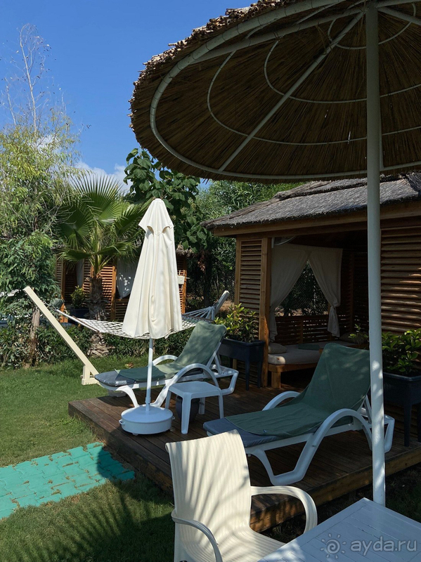 Нисколько не разочаровались