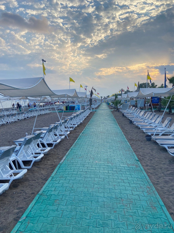 Нисколько не разочаровались