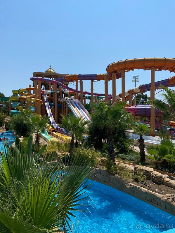 Нисколько не разочаровались