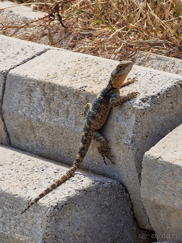 Отель неплох, но россиян практически нет