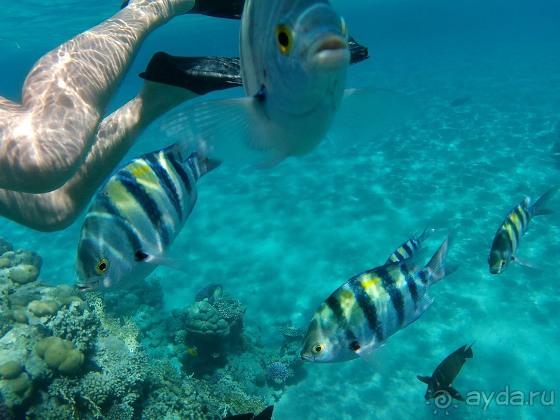 Тут шикарнейшее море и пляж