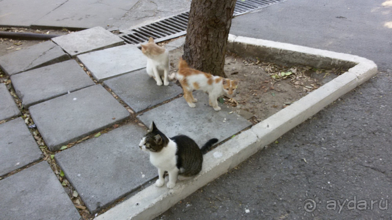 Здравница советского типа по цене отеля