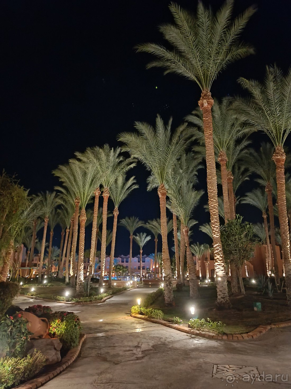 Это был лучший отель из всех