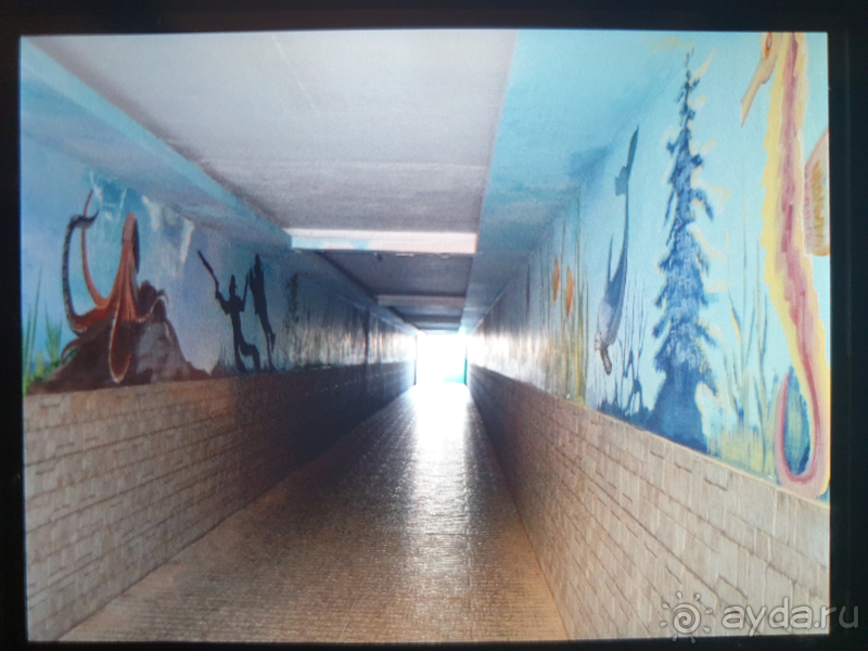 Неоправданно высокая стоимость путевки