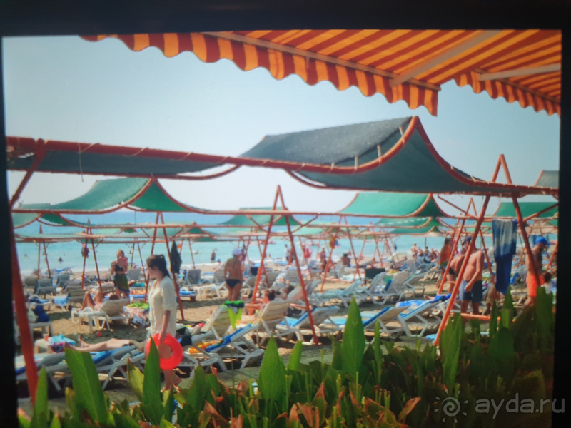 Неоправданно высокая стоимость путевки