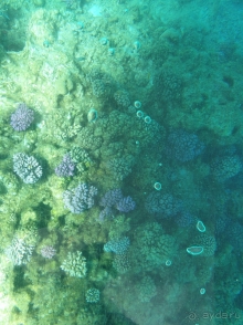 Сейчас я просто влюбилась в страну!