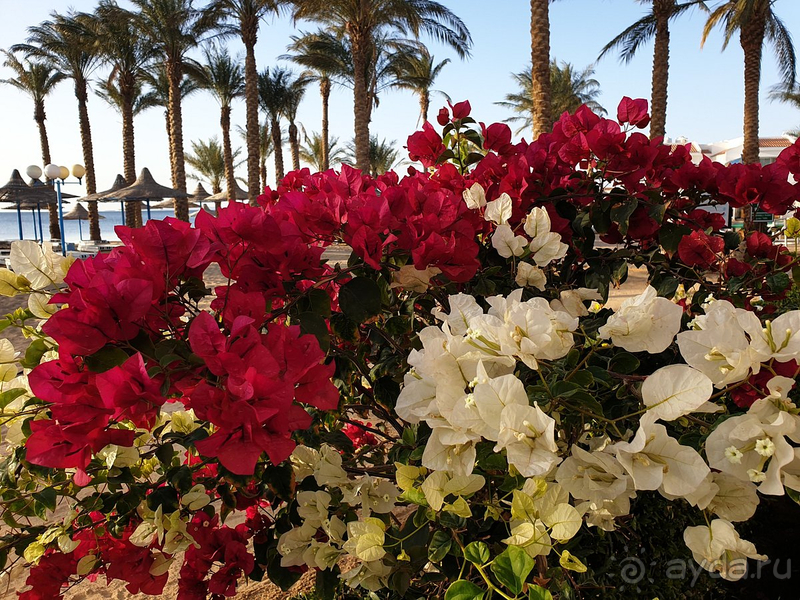 Сейчас я просто влюбилась в страну!