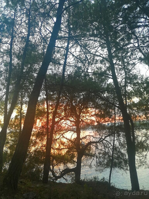 Беспроигрышный вариант отдыха в Турции!