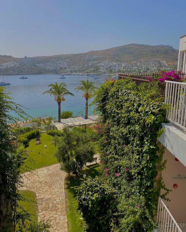 Отель очень понравился.