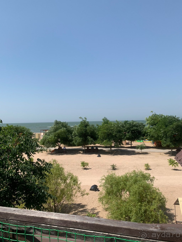 Спасение в пандемию