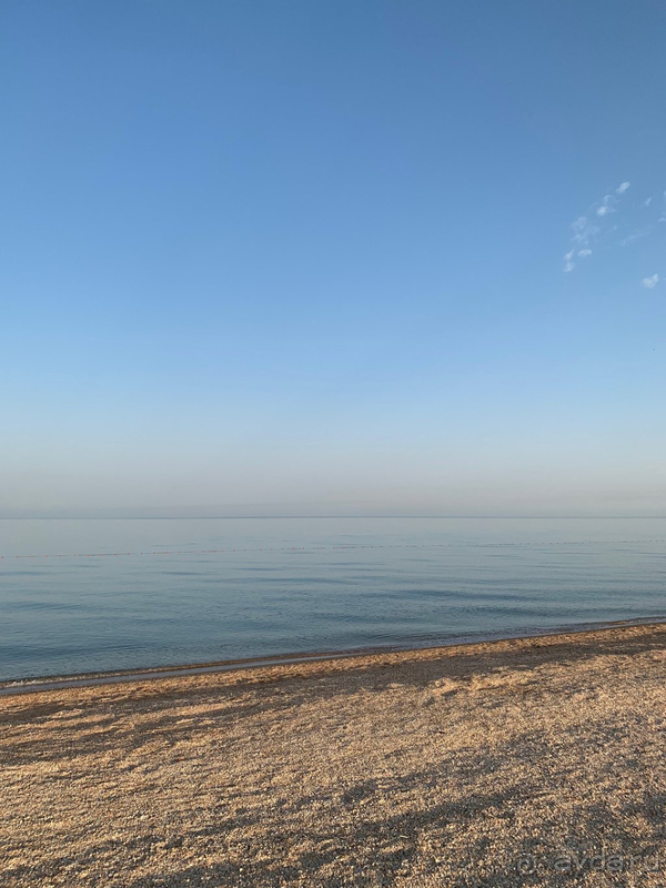 Спасение в пандемию