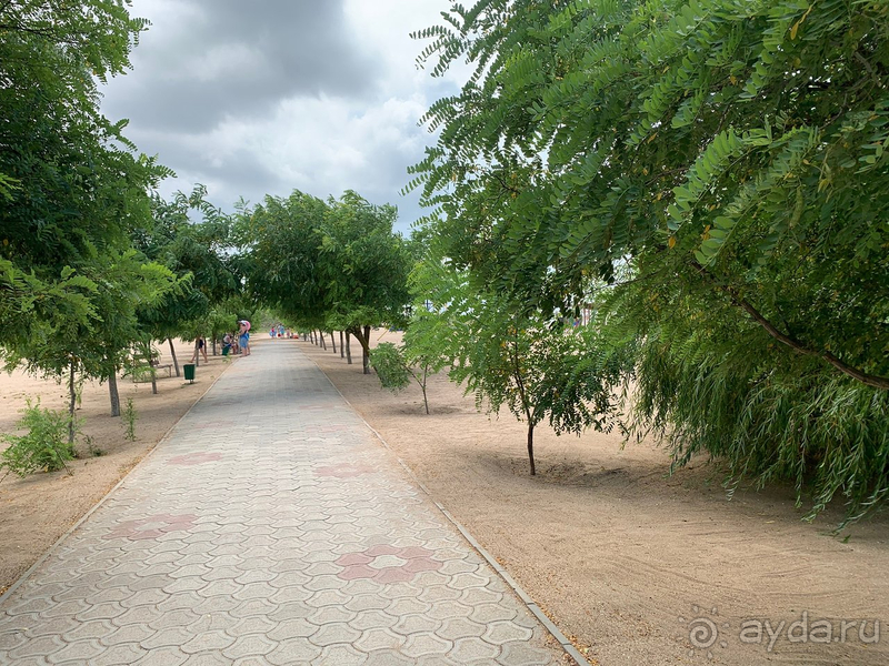 Спасение в пандемию