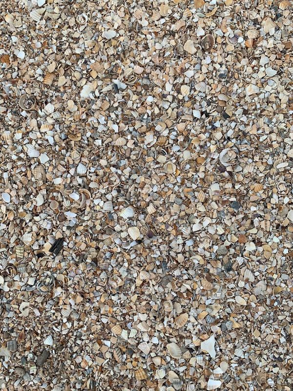 Спасение в пандемию