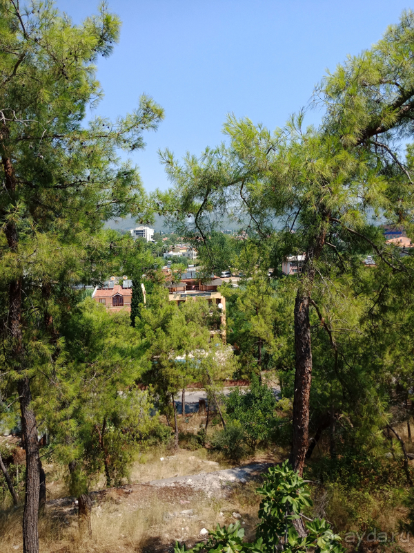 Хороший отель 